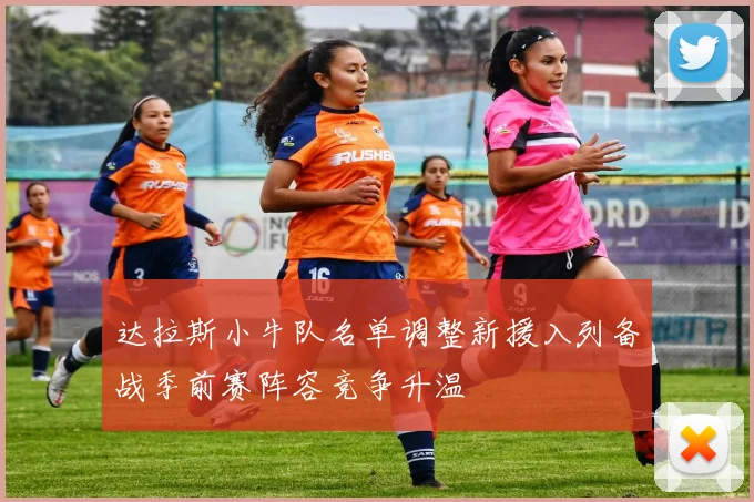 达拉斯小牛队名单调整新援入列备战季前赛阵容竞争升温