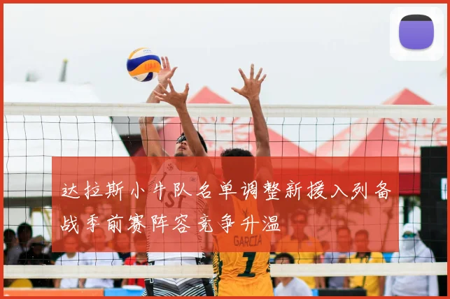 达拉斯小牛队名单调整新援入列备战季前赛阵容竞争升温