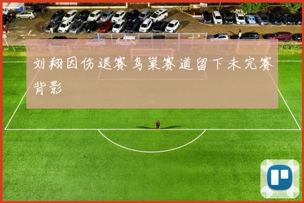 刘翔因伤退赛鸟巢赛道留下未完赛背影