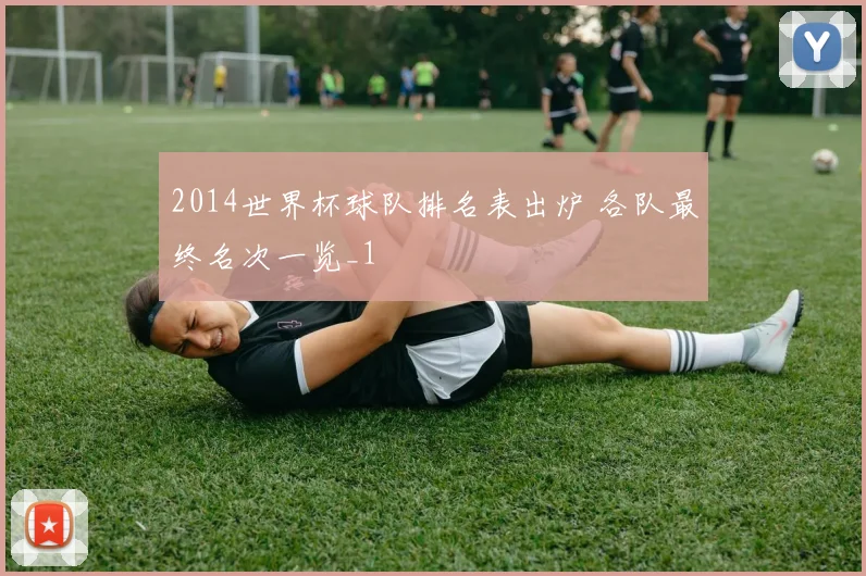 2014世界杯球队排名表出炉 各队最终名次一览_1