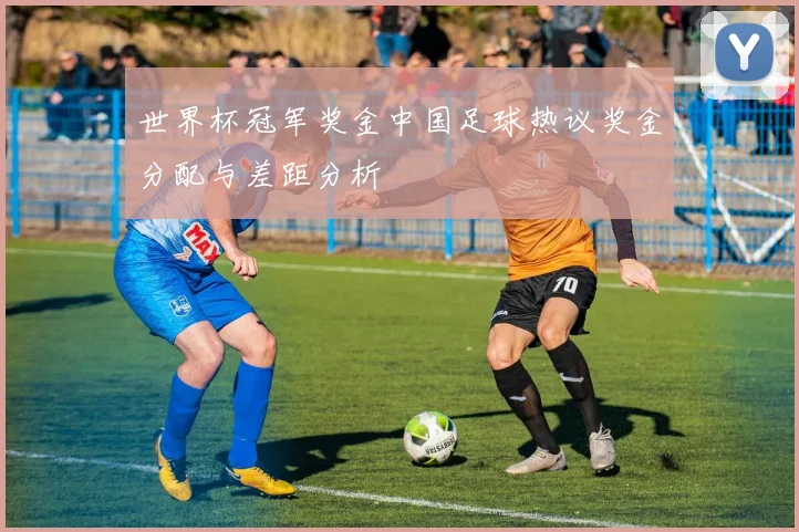 世界杯冠军奖金中国足球热议奖金分配与差距分析