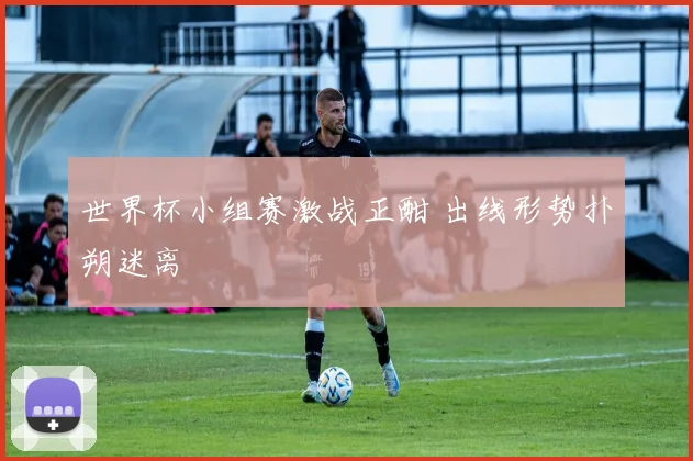 世界杯小组赛激战正酣 出线形势扑朔迷离