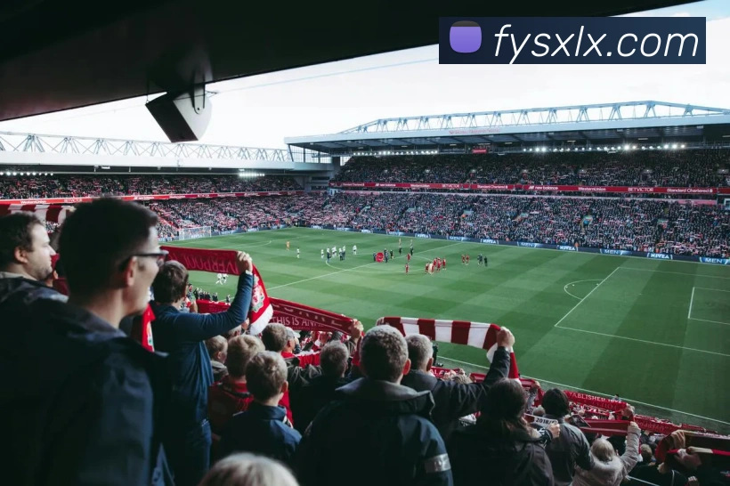 世界杯app平台发展历程